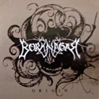 Borknagar Origin Album Cover
