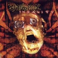 Darkane Insanity Album Cover