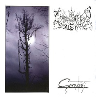 Forgotten Silence Senyaan Album Cover