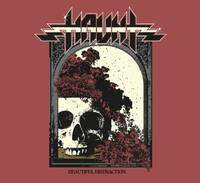 Haunt Beautiful Distraction Album Cover