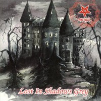 Morgul Lost In The Shadows Grey Album Cover