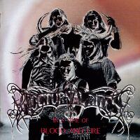 Nocturnal Rites In A Time Of Blood And Fire Album Cover