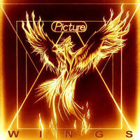 Picture Wings Album Cover