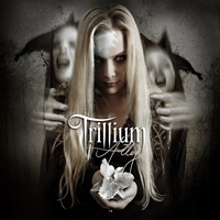[Trillium Alloy Album Cover]